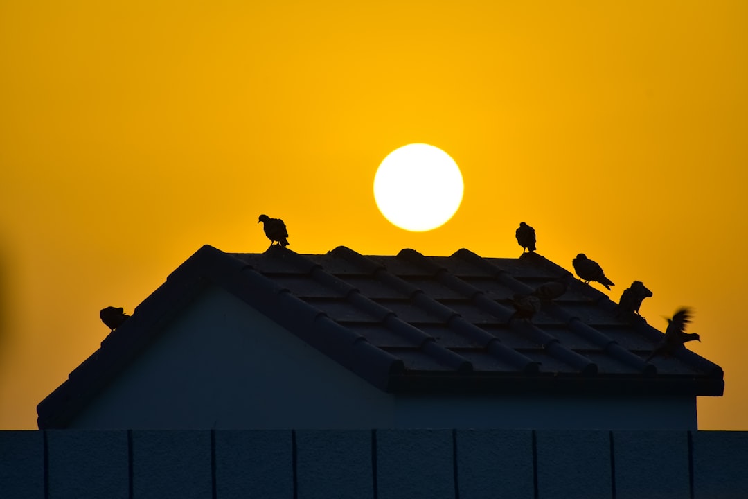 Dehradun to Aligarh  Taxi