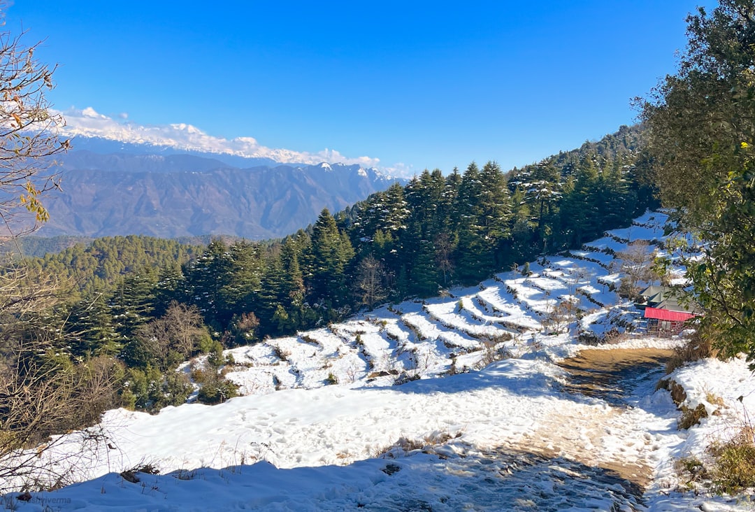 Dehradun Airport to Kanatal Taxi